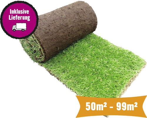 Rollrasen Sport & Spiel Bestellmenge 50 - 99 m² tagesfrisch geschält, strapazierfähig, schnelle Regeneration, für sonnige bis halbschattige Lage, ideal für Familien Eine Rolle Rollrasen, inklusive Lieferung für 50 bis 99 Quadratmeter.