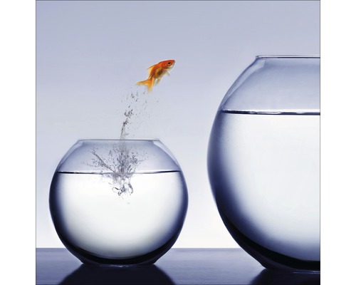 Glasbild Jumping fish 30x30 cm GLA494