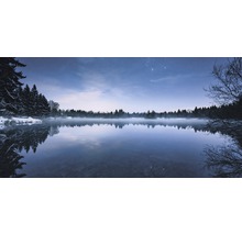 Winterlandschaft mit See und Bäumen unter Sternenhimmel