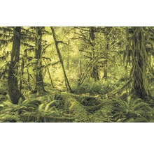 Fototapete Vlies SH040-VD4 Stefan Hefele Ed 1 Ancient World 4-tlg. 400 x 250 cm