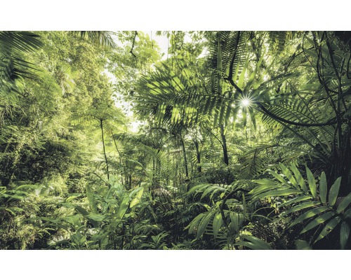 Fototapete Vlies SH041-VD4 Stefan Hefele Ed 1 Into The Jungle 4-tlg. 400 x 250 cm Dichter Dschungel mit üppiger Vegetation und Sonnenlicht