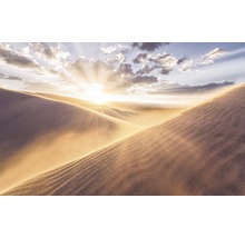 Dünenlandschaft im Gegenlicht
