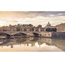 Ansicht von Rom mit Tiber, Brücke und Gebäuden