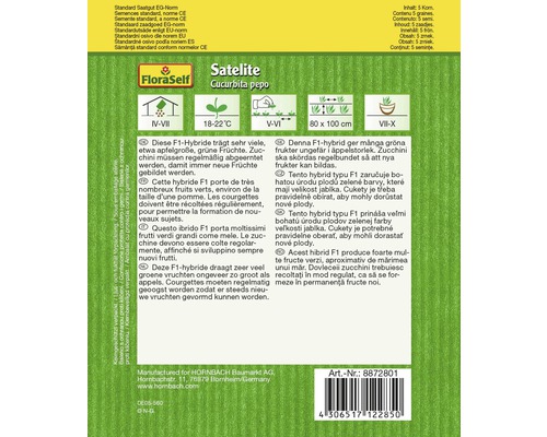 FloraSelf Satelite Cucurbita pepo Samenpackung