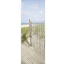 Glasbild Sand Sedge II 30x80 cm GLA662