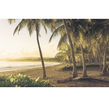 Fototapete Vlies SH064-VD4 Stefan Hefele Ed 1 Golden Lands 4-tlg. 400 x 250 cm