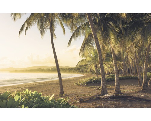 Fototapete Vlies SH064-VD4 Stefan Hefele Ed 1 Golden Lands 4-tlg. 400 x 250 cm Strandlandschaft mit Palmen und Meer