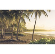 Fototapete Vlies SH064-VD4 Stefan Hefele Ed 1 Golden Lands 4-tlg. 400 x 250 cm