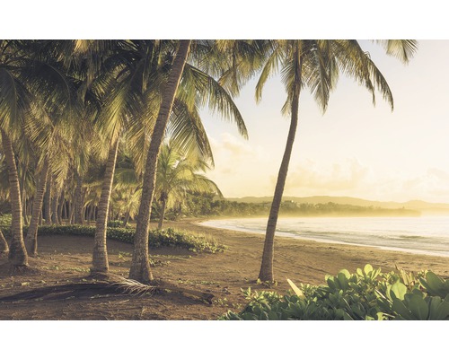 Strand mit Palmen im Küstenbereich