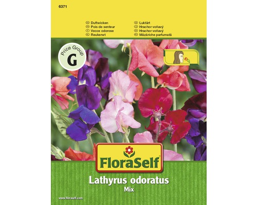 Duftwicken 'Mix' FloraSelf samenfestes Saatgut Blumensamen