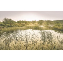 Fototapete Vlies SH065-VD4 Stefan Hefele Ed 1 Morning View II 4-tlg. 400 x 250 cm
