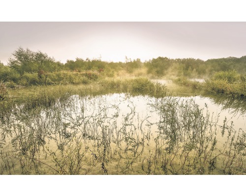 Fototapete Vlies SH065-VD4 Stefan Hefele Ed 1 Morning View II 4-tlg. 400 x 250 cm Morgendlicher Blick auf einen Teich mit Vegetation und Nebel