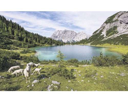 Fototapete Vlies SH070-VD4 Stefan Hefele Ed 1 Paradise Lake 4-tlg. 400 x 250 cm Bergsee mit Schafen in alpiner Landschaft
