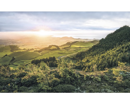 Fototapete Vlies SH071-VD4 Stefan Hefele Ed 1 Paradise Island 4-tlg. 400 x 250 cm Landschaftsansicht mit Hügeln, Wiesen und Wäldern bei Sonnenaufgang