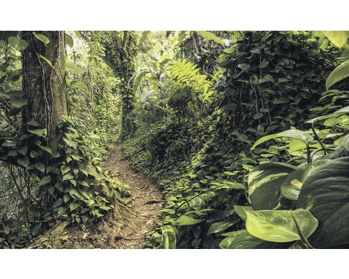 Fototapete Vlies SH072-VD4 Stefan Hefele Ed 1 Path of Dreams 4-tlg. 400 x 250 cm Dschungelpfad mit üppiger Vegetation und hohen Bäumen