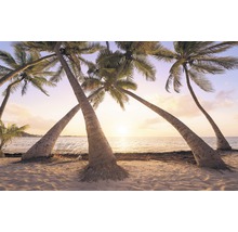 Fototapete Vlies SH074-VD4 Stefan Hefele Ed 1 Reaching the Sun 4-tlg. 400 x 250 cm