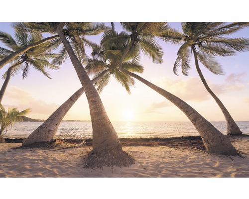 Fototapete Vlies SH074-VD4 Stefan Hefele Ed 1 Reaching the Sun 4-tlg. 400 x 250 cm Palmen am Strand bei Sonnenuntergang