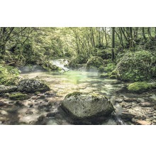 Flusslauf durch einen Wald mit Steinen und Vegetation