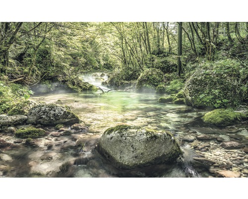 Fototapete Vlies SH079-VD4 Stefan Hefele Ed 1 Tranquil Pool 4-tlg. 400 x 250 cm Flusslauf durch einen Wald mit Steinen und Vegetation