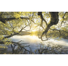 Fototapete Vlies SH080-VD4 Stefan Hefele Ed 1 Golden Embrace 4-tlg. 400 x 250 cm