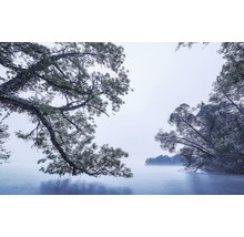 Fototapete Vlies SH082-VD4 Stefan Hefele Ed 1 Blue Waters 4-tlg. 400 x 250 cm