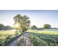 Fototapete Vlies SH084-VD4 Stefan Hefele Ed 1 Day in Paradise 4-tlg. 400 x 250 cm