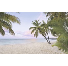Blick auf einen tropischen Sandstrand mit Palmen