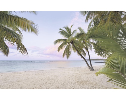 Fototapete Vlies SH086-VD4 Stefan Hefele Ed 1 Paradise Morning 4-tlg. 400 x 250 cm Blick auf einen tropischen Sandstrand mit Palmen