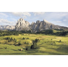 Fototapete Vlies SH090-VD4 Stefan Hefele Ed 1 Alpen 4-tlg. 400 x 250 cm