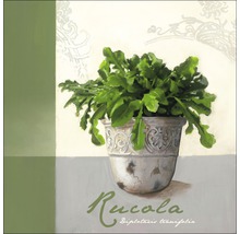 Gemälde von Rucola in einem Topf