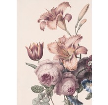 Illustration von Lilien, Rosen und Tulpen