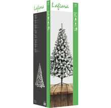 Verpackung eines künstlichen, beschneiten Weihnachtsbaums von Lafiora