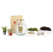 Terrarium-Set mit Glasbehälter, Pflanzen, Moos, Erde und Steinen