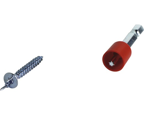 Spanplattenschraube mit Bit