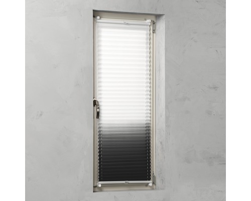 Plissee am Fenster mit Tag-Nacht-Funktion