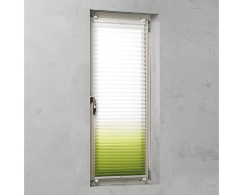Plissee am Fenster zur Lichtregulierung