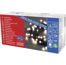 LED Lichterkette für den Außenbereich in Verpackung