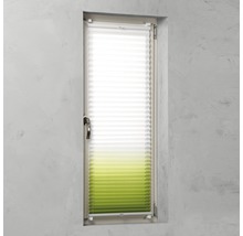 Plissee-Rollo am Fenster zur Lichtregulierung