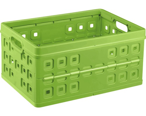 Minibox 270x170x110 mm Klappbox grün günstig kaufen, 4,01 €