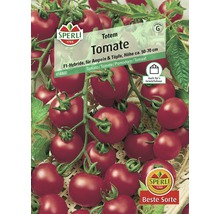 Sperli Totem Tomatensamen, geeignet für Ampeln und Töpfe