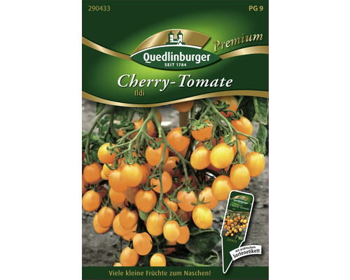 Cherrytomate 'Ildi' Quedlinburger Gemüsesamen