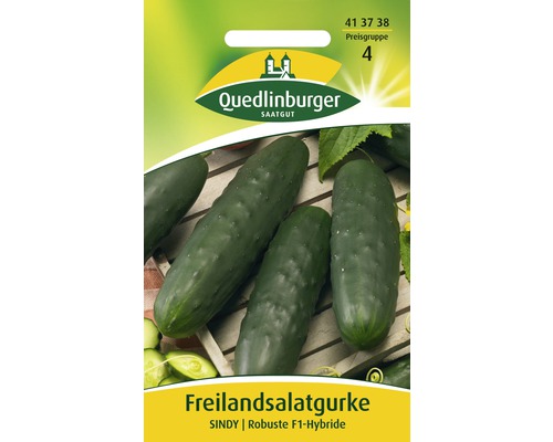 Freilandgurke 'Sindy' Quedlinburger Gemüsesamen