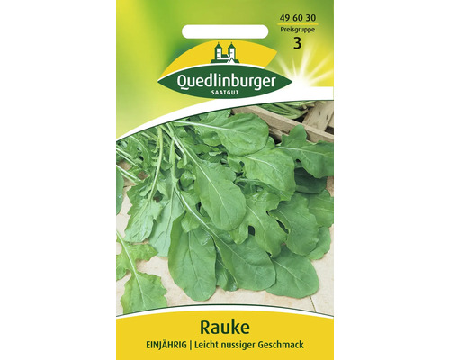 Rauke Einjährig Quedlinburger Salatsamen