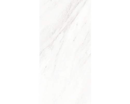 Kunststoffpaneel G x Wall+ Marmor grau 600 x 300 x 5 mm Weiße Fliesen mit Marmoroptik