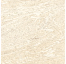 Feinsteinzeug Wand- und Bodenfliese Sahara crema 60 x 60 cm-thumb-0