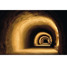 Fototapete Vlies 221007 Visually Dynamic Tunnel 10-tlg. 500 x 280 cm