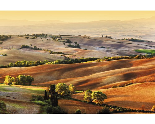 Fototapete Vlies 181051 Tuscany Countryside 7-tlg. 350 x 260 cm