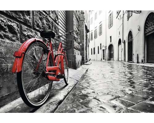 Fototapete Vlies 181052 Retro Old Town Bike 7-tlg. 350 x 260 cm