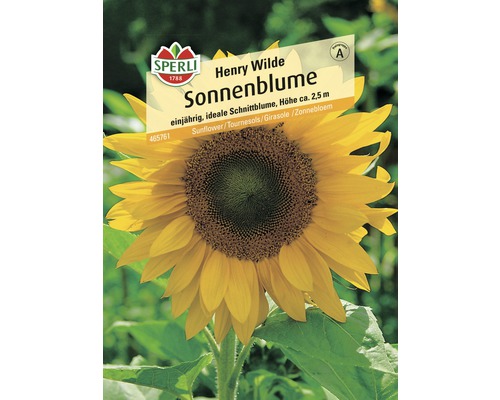 Sonnenblume 'Henry Wilde' Sperli Blumensamen