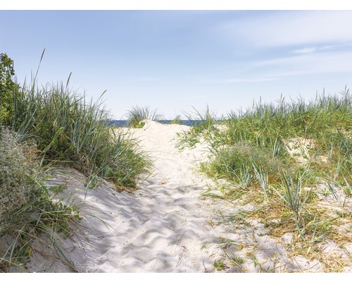 Fototapete Vlies 221084 Dunes in Baltic Sea 10-tlg. 500 x 280 cm